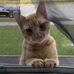 Shana Cooper - Facebook