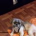 Shana Simpson - Facebook