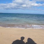 Shana Stein - @steinshana - Instagram