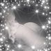 Shanda Alexander - Facebook