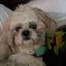 Shanda Bell - Facebook