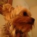 Shanda Powell - Facebook