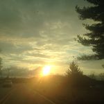 Shanda Ross - @shandapanda1972 - Instagram