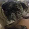 Shanda Walker - @shanda.walker0 - TikTok