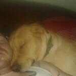 Shandy Brown - @shandybr - Instagram