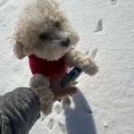 Shandy Miller - @shandymiller531 - Instagram