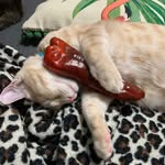 Shandy Smith - @shandyatx - Instagram