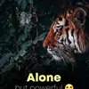 Shane Acosta - @shaneacosta3 - TikTok