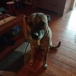 Shane Akers - @shane042806 - Instagram