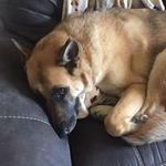 Shane Albright - @albright4109 - Instagram