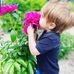 Shena Alcock - Facebook