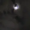 ShaneAli - @kyundghqwz8 - TikTok