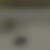 Calton.Shane - @calton.shane - TikTok