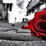 Shanealves17 - @unknownmiss.57 - Instagram