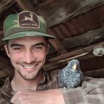 Shane Anglin - @ralph_the_wonderpup - Instagram