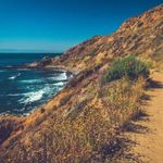 Shane Thomas Anglin - @shaneanglinrealestate - Instagram