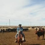 Shane Barnett - @barnett.shane - Instagram