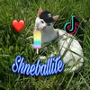 💖Shneballite❤️ - @shneballite - TikTok