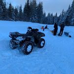 Shane Banks - @shane_banks_ - Instagram