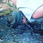 Shane Banks - @highpark_hoodlum - Instagram