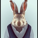 Shane Barkley - @shane.barkley - Instagram