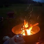 Shane Barkley - @barkley_shane - Instagram