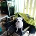 Shayne Bartley - Facebook