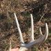 Shane Bauer - Facebook