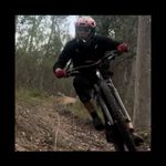 Shane Beale - @shane.beale - Instagram
