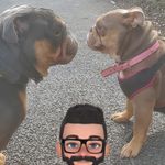 Shane Benham - @shane.6067 - Instagram