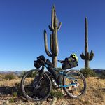 Shane Bergman - @shanebergman78 - Instagram