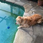 Shane Bird - @_shanebird - Instagram