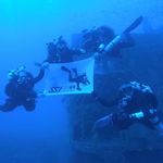 Shane Blanton - @shane.blanton - Instagram