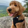 Shane Blanton - @shane.blanton6 - TikTok