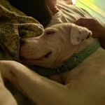 Shane Blocker - @shane.blocker - Instagram