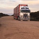 Shane Bloomfield - @shane_bloomfield - Instagram