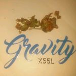 Shane Borja - @kuxika_barz671 - Instagram