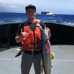 Shane Bowman - @shaner_808 - Instagram