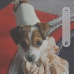shane boyd - @shane768232 - Instagram