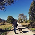 Shane Briggs - @theguitarmaker - Instagram