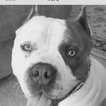 Shane - @shane_brinkley - Instagram
