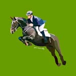 Shane Broughal - @shanebroughal - Instagram