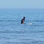 Shane Browning - @shane.browning - Instagram