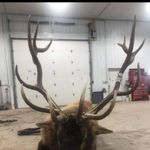 Shane Bruce - @shanebruce2619 - Instagram
