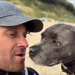 Shane Buckley - @shane.buckley.5 - Instagram