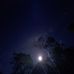 Shane Bunton - Facebook