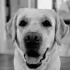 Shawn Burchett - @shawn.burchett - TikTok