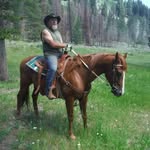 Shane Burrell - @burrell.shane - Instagram