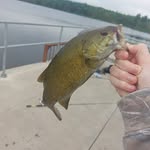 Shane Burris - @shane_burris16 - Instagram
