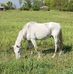 Shane Busby - Facebook